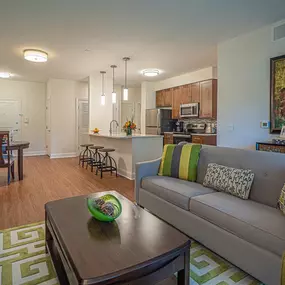 Open Kitchen Living Room