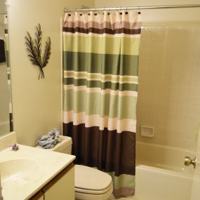 Bathroom - Shade Tree Trace Apartments
