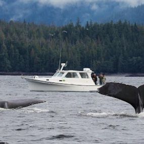 Bild von Ketchikan Charter Boats Inc