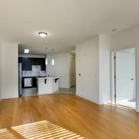 Empty living room and kitchen