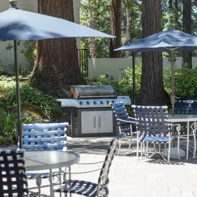 Outdoor Grill with Seating Area at Castlewood Apartments