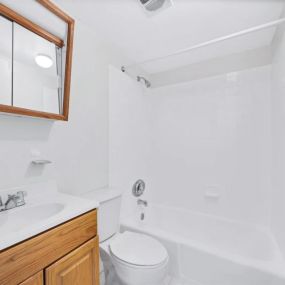 Bathroom at Briarwood Apartments