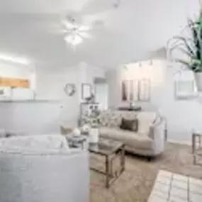 Living Area With Kitchen
