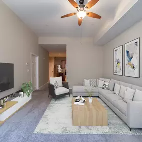 Living Room With Television