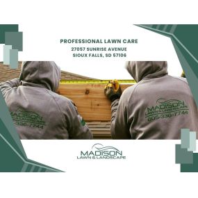 professional lawn care