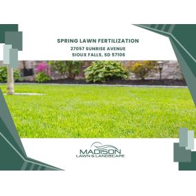 spring lawn fertilization
