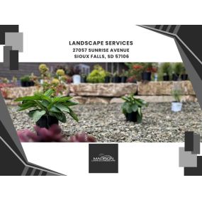 landscape services