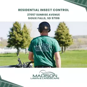 residential insect control