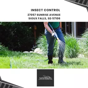 insect control