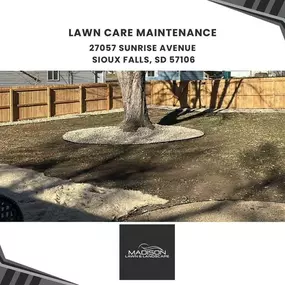 lawn care maintenance