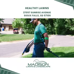 healthy lawns