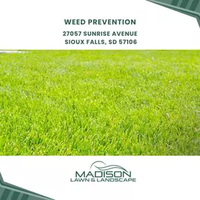 weed prevention