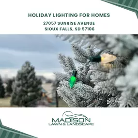 holiday lighting for homes