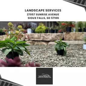 landscape services