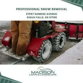 professional snow removal