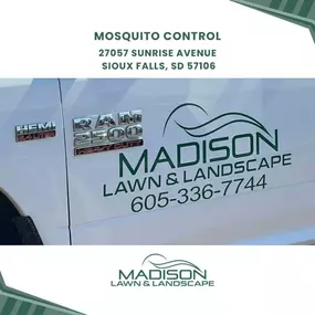 mosquito control