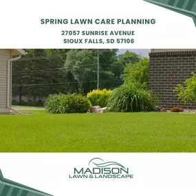 spring lawn care planning