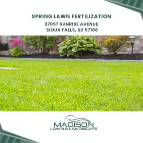 spring lawn fertilization