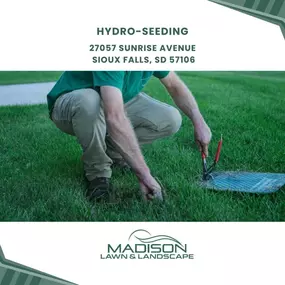 hydro-seeding