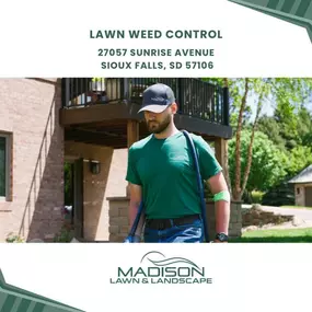 lawn weed control