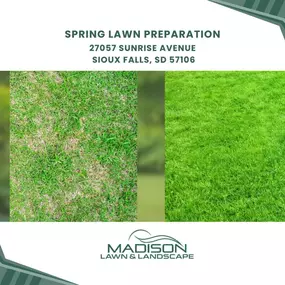 spring lawn preparation