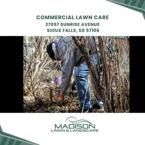 commercial lawn care