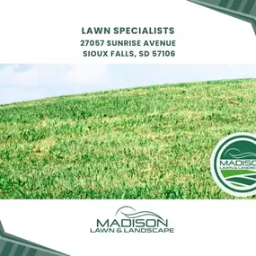 lawn specialists