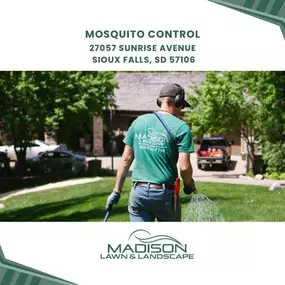 mosquito control