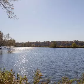 Bild von ReNew at Neill Lake