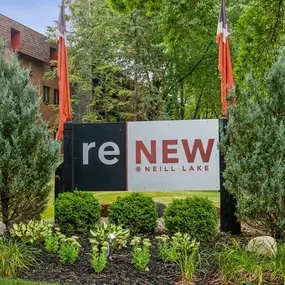Bild von ReNew at Neill Lake