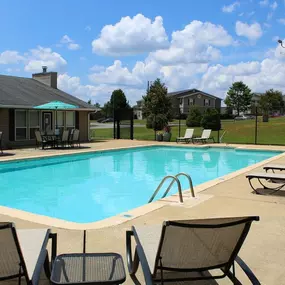 Luxurious Swimming Pool