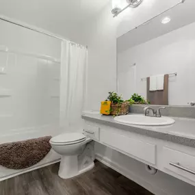 Modern Bathroom