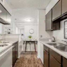 Double stainless steel sink