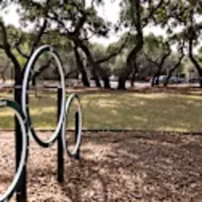 Agility Course at the Dog Park
