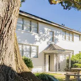 a large white building with a large tree in front of it