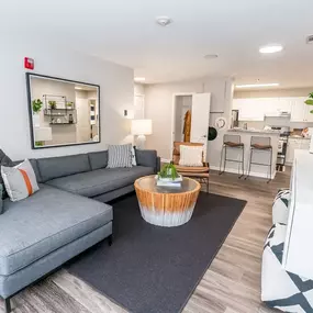 Open space living room and kitchen