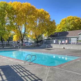 Swimming Pool at Oak Hill Apartments