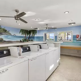 a washer and dryer room with a mural on the wall