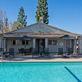 our apartments showcase an unique swimming pool