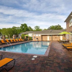 Swimming Pool View