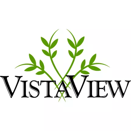 Logo da VistaView