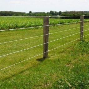 split-rail fencing