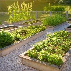 Charlottesville grass seeds