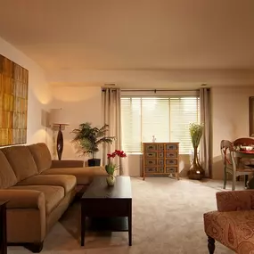 Spacious Room - Hartland Village Apartments