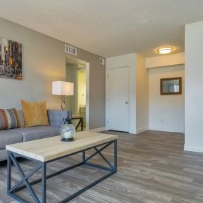 Living Room with Plank Flooring and a Grey Couch