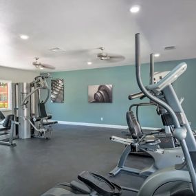 Resident Gym with Cardio Equipment Facing Large Windows and a Blue Accent Wall