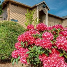 Building exterior at Chambers Creek Estates