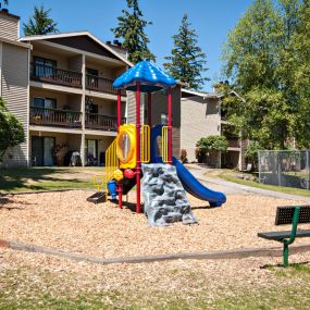 Playground at Chambers Creek Estates