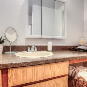 Bathroom at Woodcreek Apartments