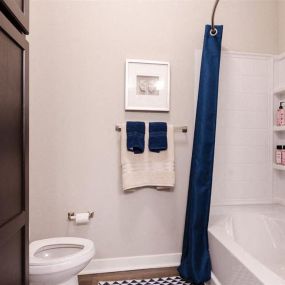 Bathroom with a toilet and a bathtub